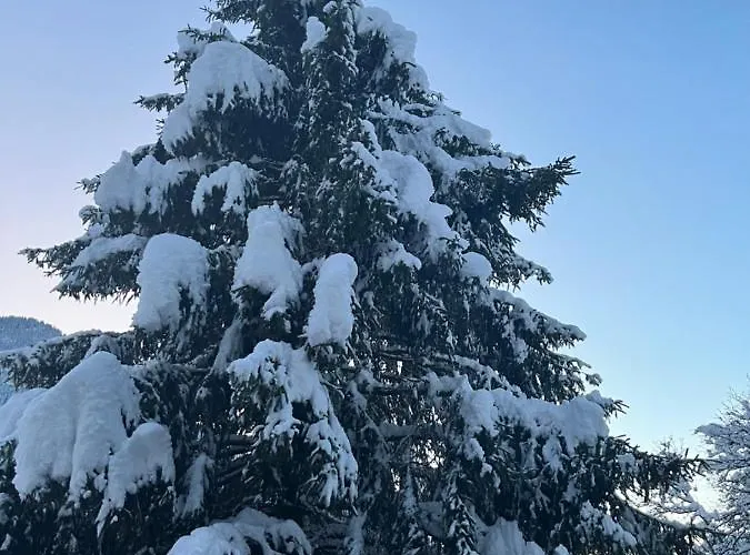 Chalet La Poipia